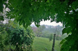 Pécs