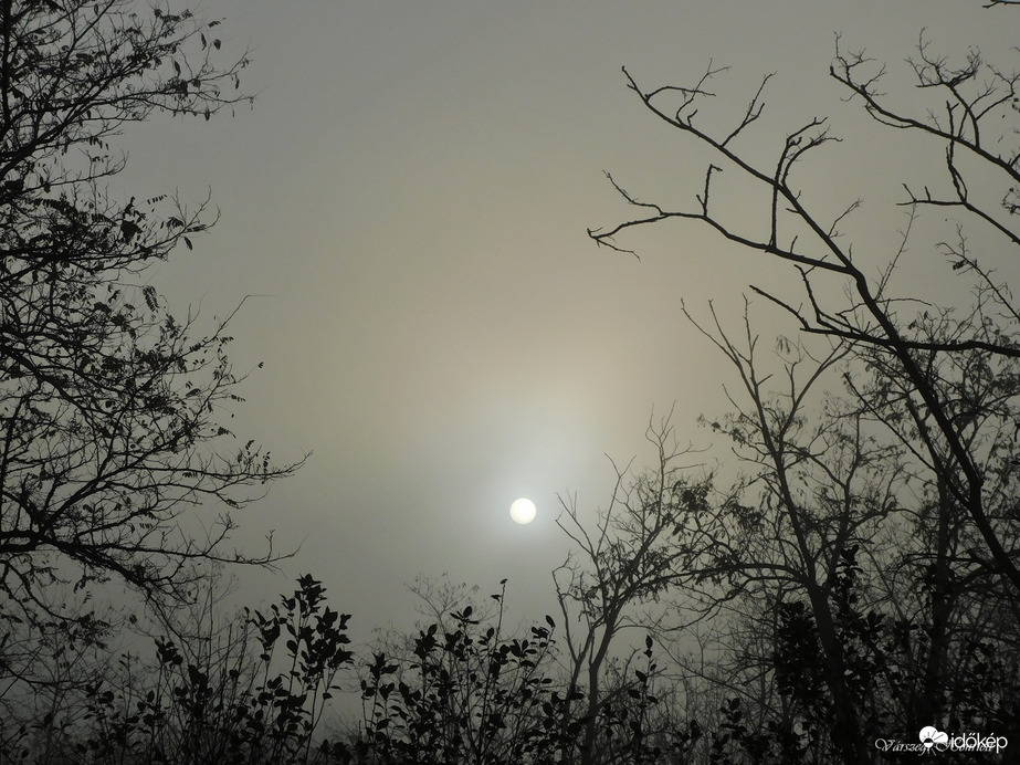 Ködös reggel-Cegléd