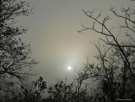 Ködös reggel-Cegléd