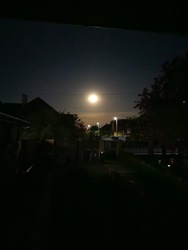 Kisvárda