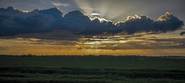 Puszta