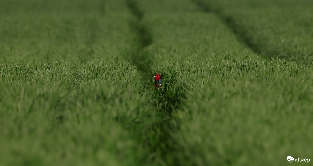 Elbújtam... vagy mégsem?