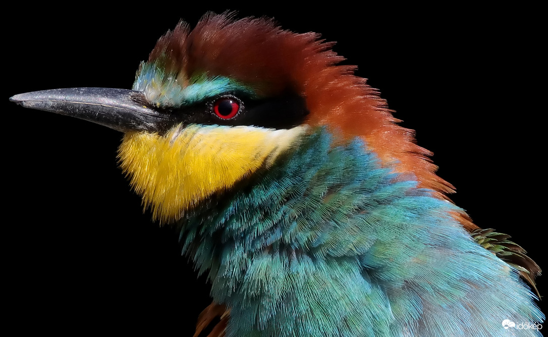 Így biztosan tetszeni fogok...