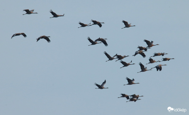 Darvak esti behúzása