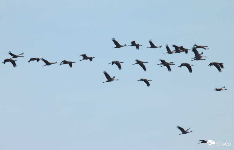 Darvak esti behúzása