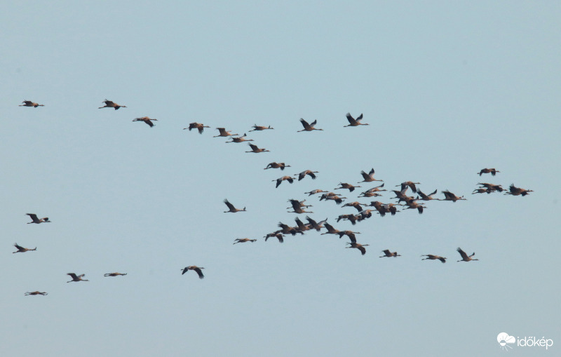 Darvak esti behúzása