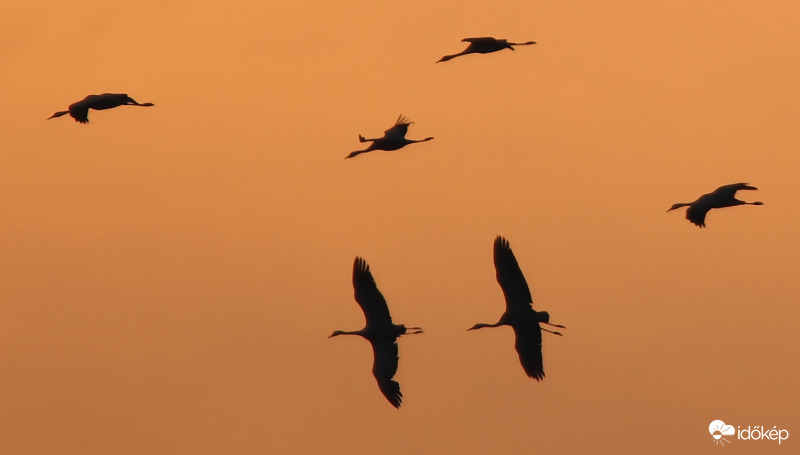 Darvak naplementében