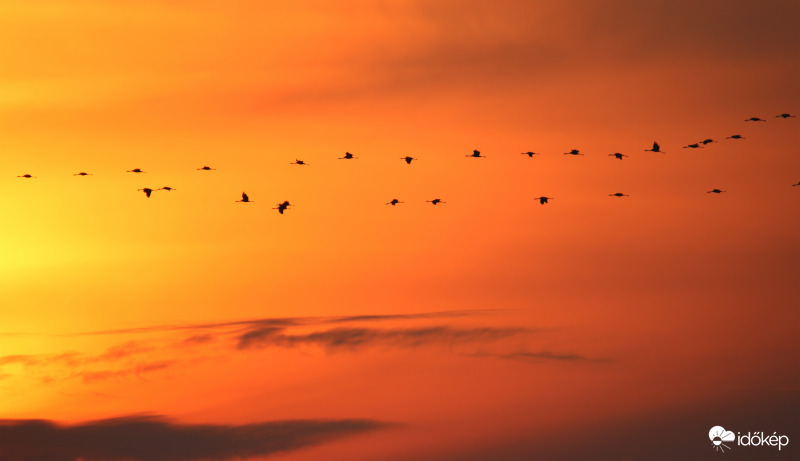 Darvak esti behúzása