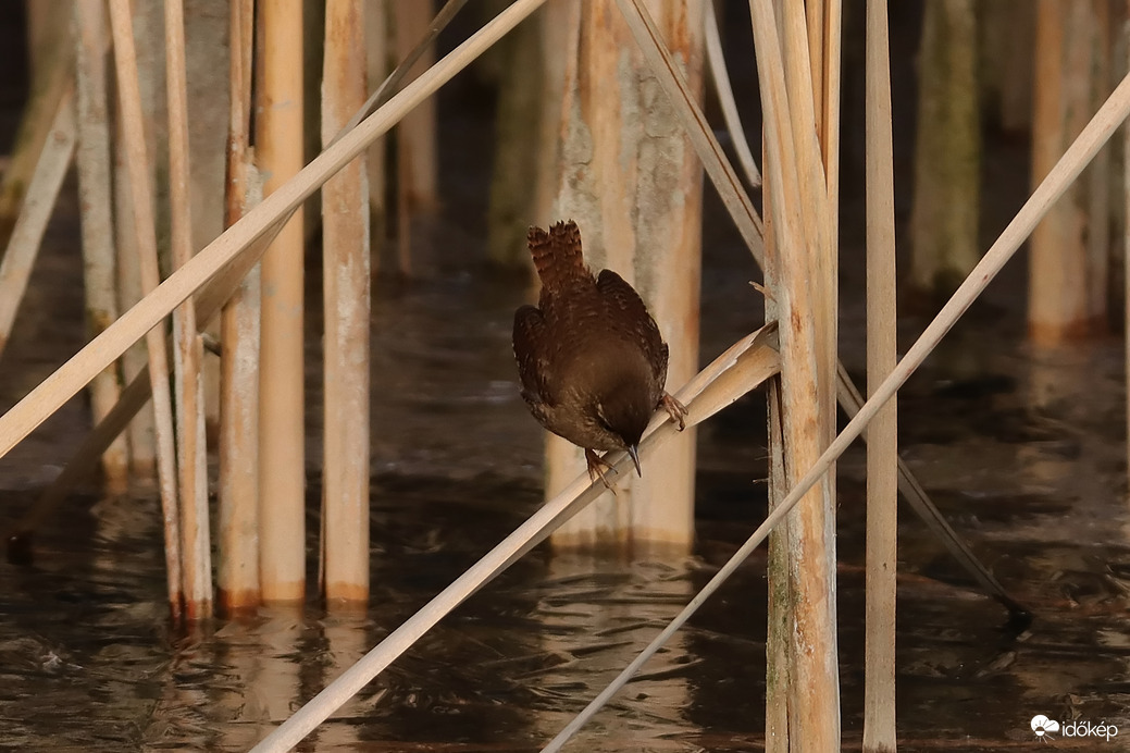 Hoppá, be van fagyva...