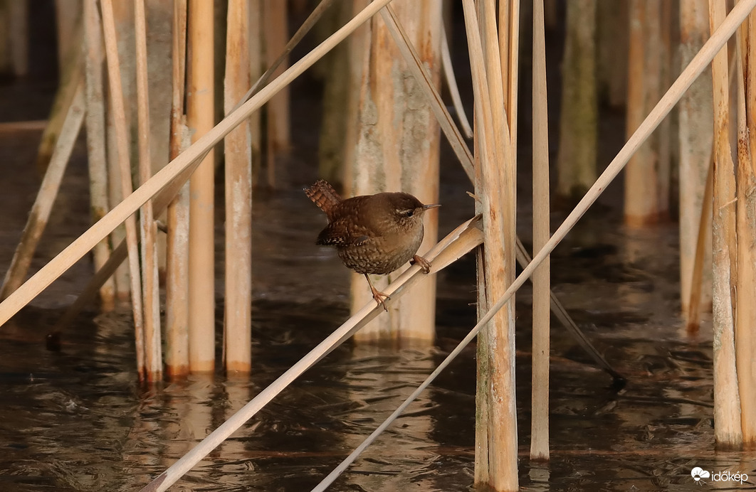 Jobb ha tovább állok...