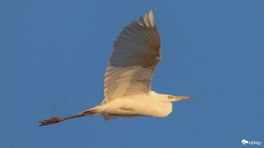 Suhanás a naplemente fényében... 