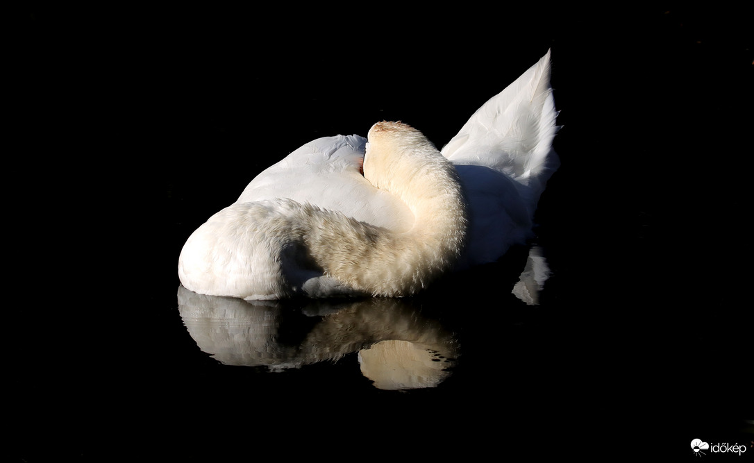 Pihenő