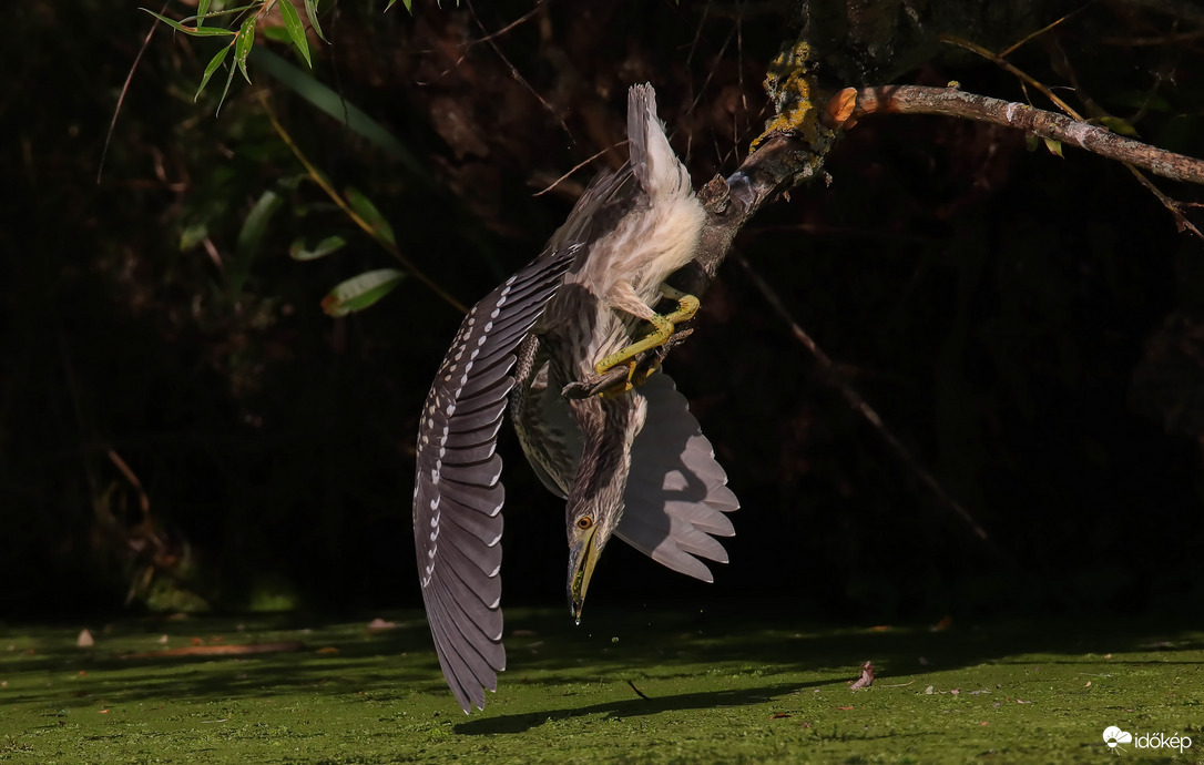 Nem mindig jön össze...