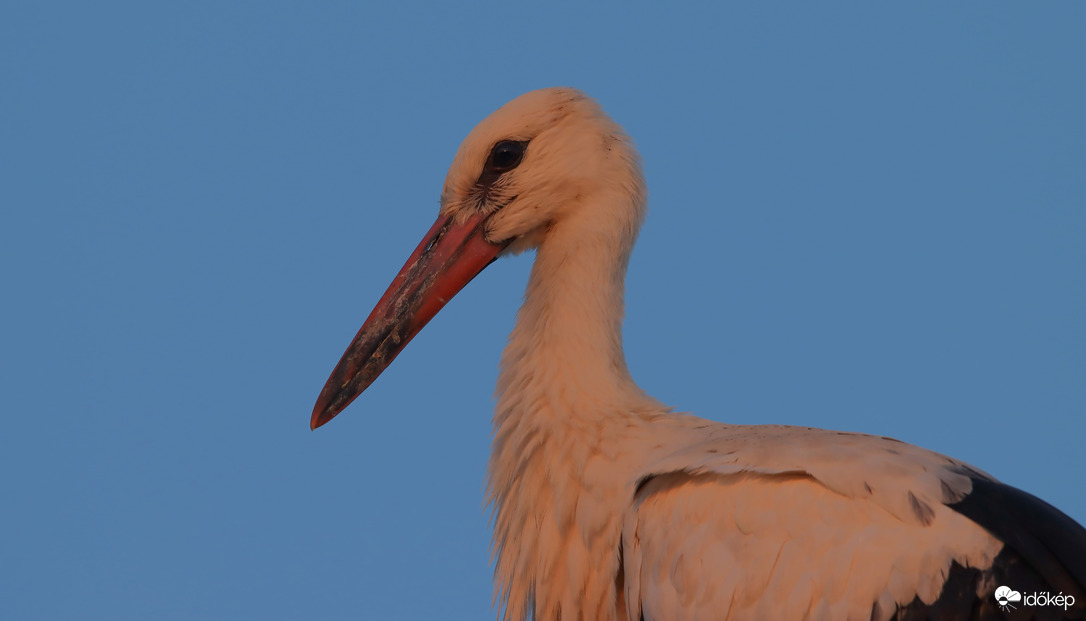 Naplemente idején...