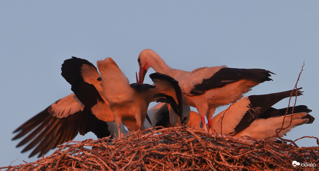 Naplemente fényében...