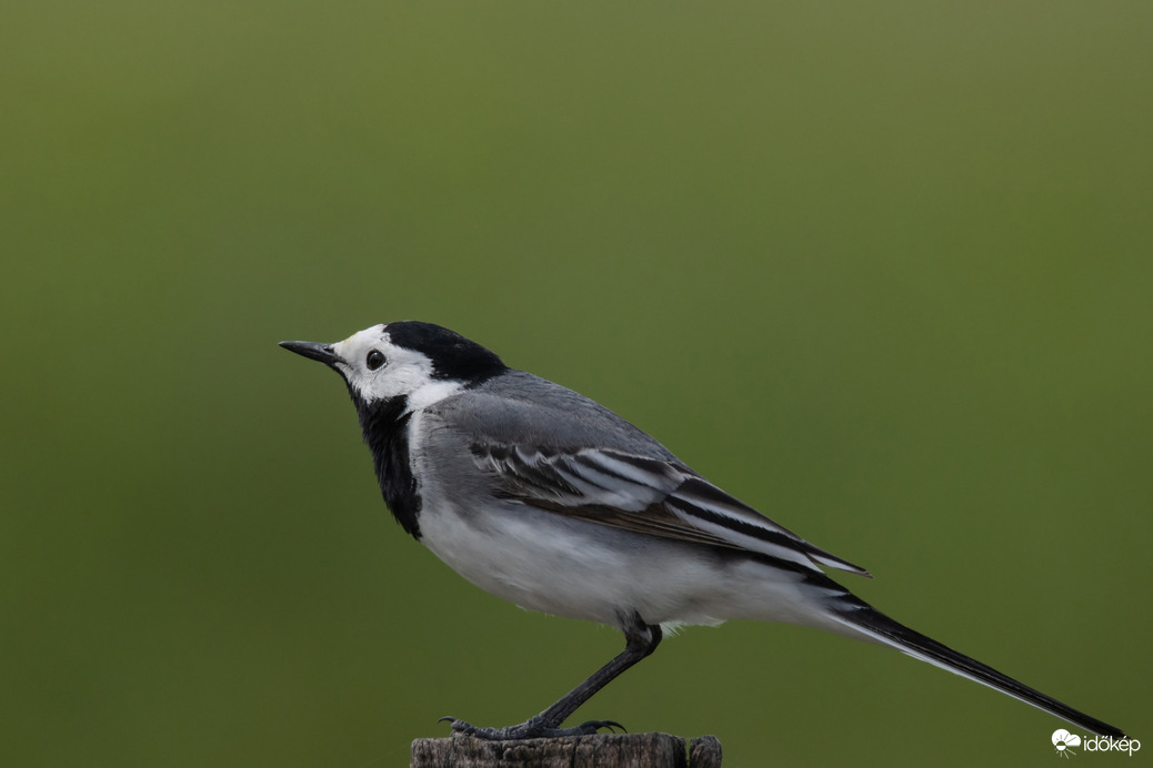 Állandó mozgásban