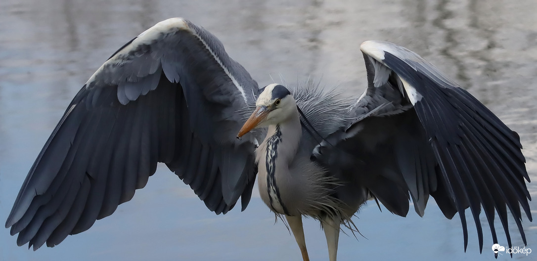 Leszállás közelről