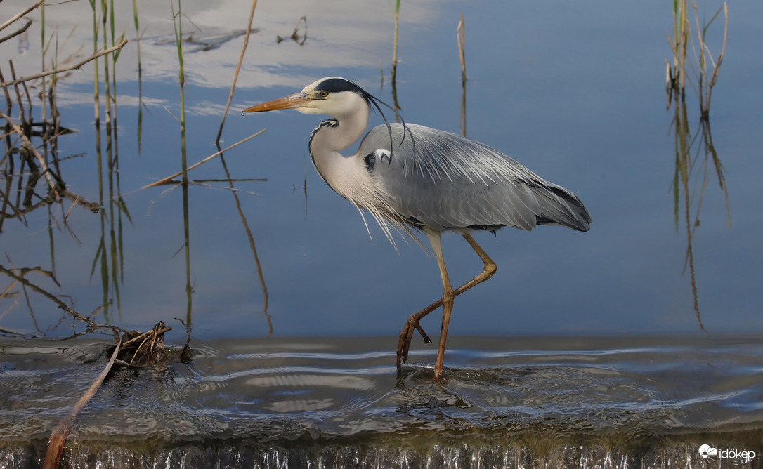Ha nem untok, akkor jövök még később, a fotósomnak most nincs ideje...
