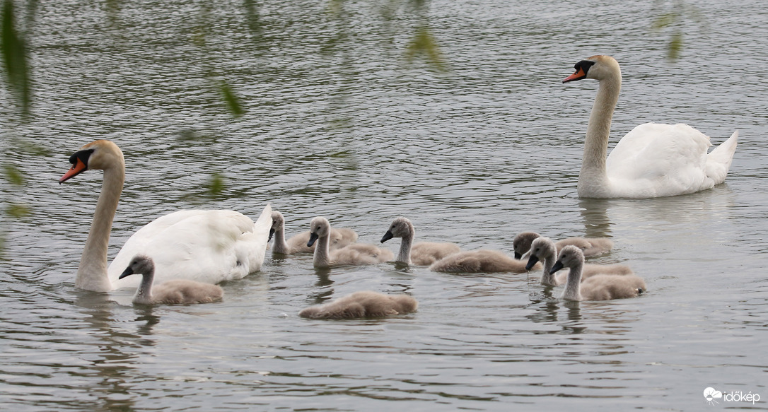 7 éve napra pontosan...
