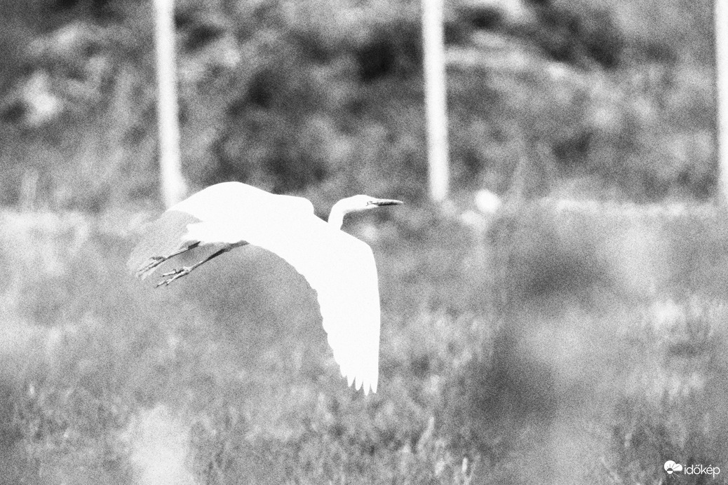 Amikor nem sikerül, mert rossz helyre tekertem a gépet....