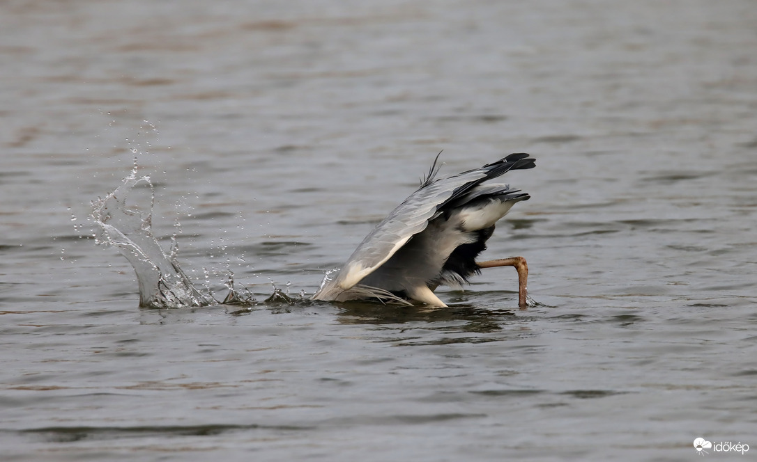 Húúú ez mélyen van...