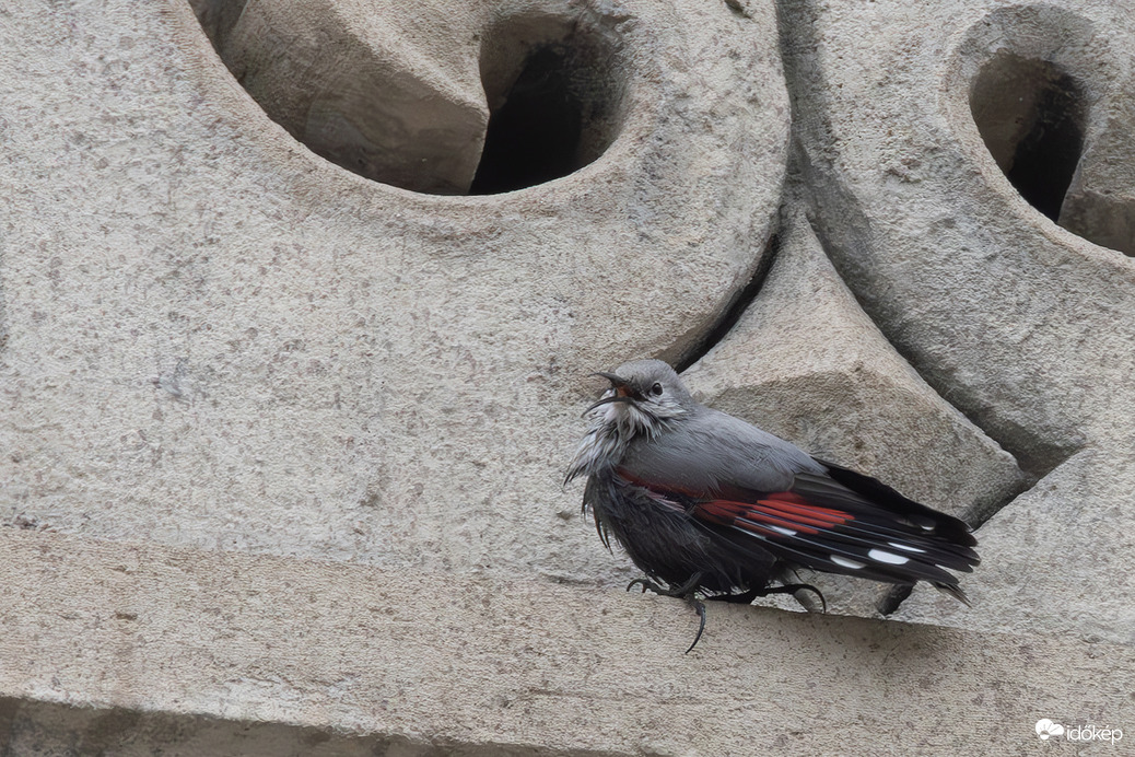 Megfürodtem, most miért kell ilyen kócosan lefotóznod? -- 