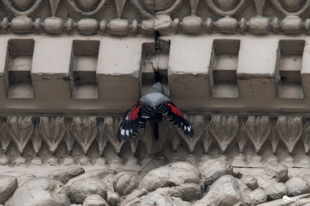 Aki tényleg "kiharapja" a pókot a sarokból... -- 