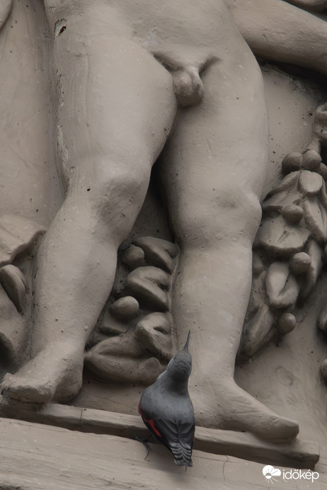 Hát ez meg miféle kukac...??? -- 