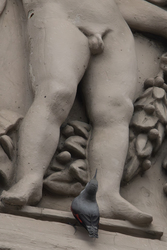 Hát ez meg miféle kukac...??? -- 