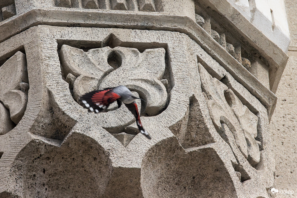 Átrepülés a téren... -- 