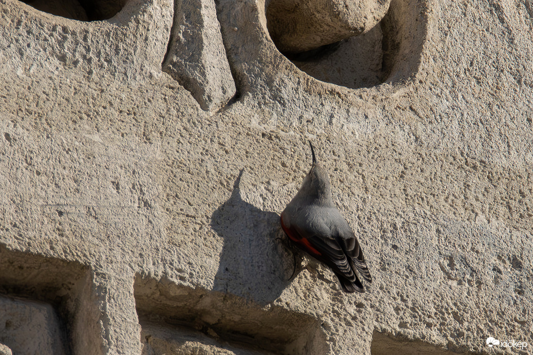 Az árnyékom és én... -- 