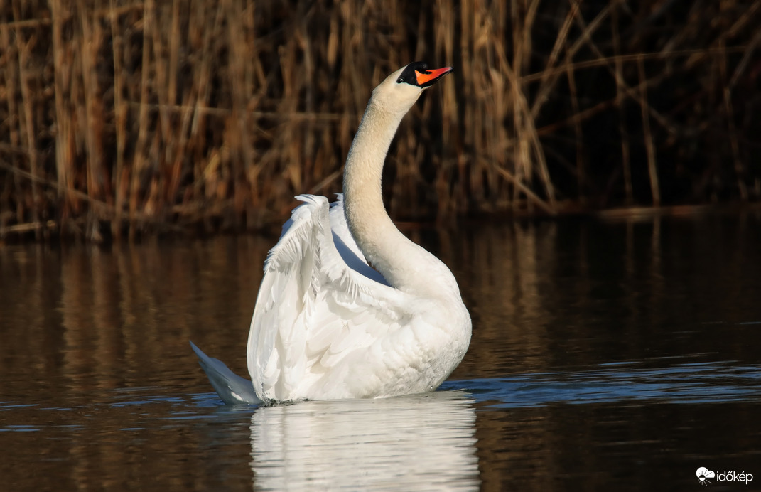 Egy nyújtózás pilanatai
