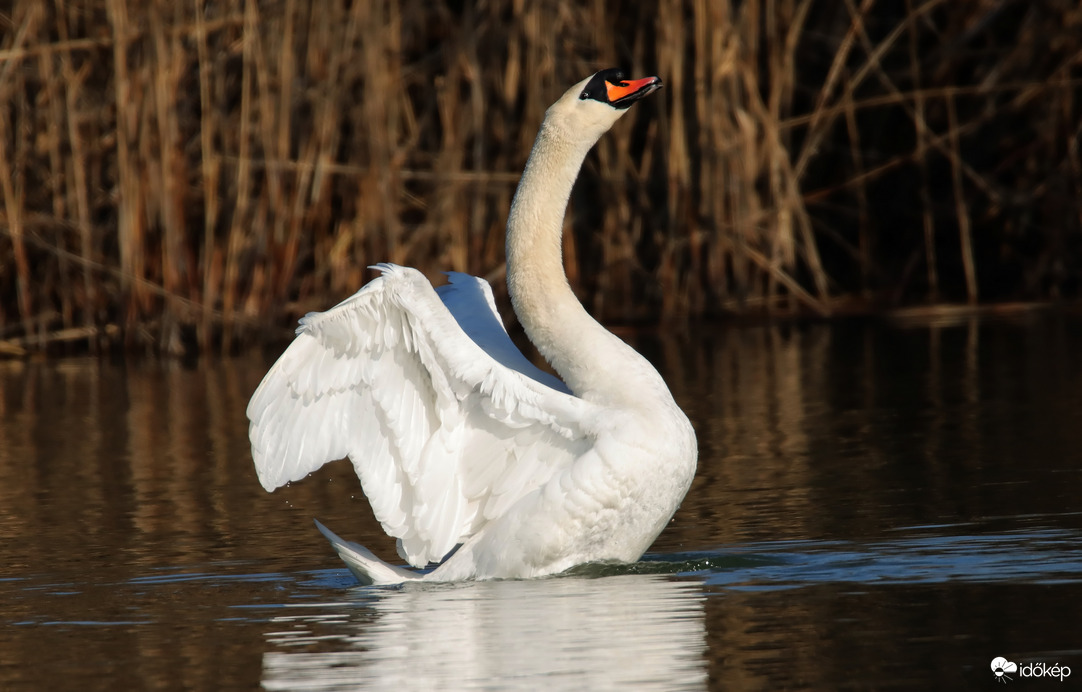 Egy nyújtózás pilanatai