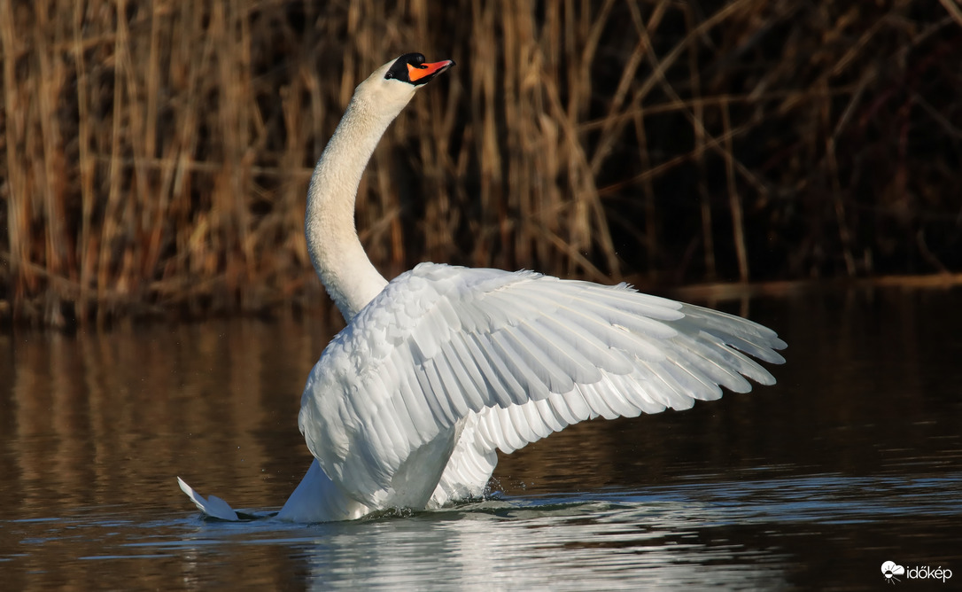 Egy nyújtózás pilanatai
