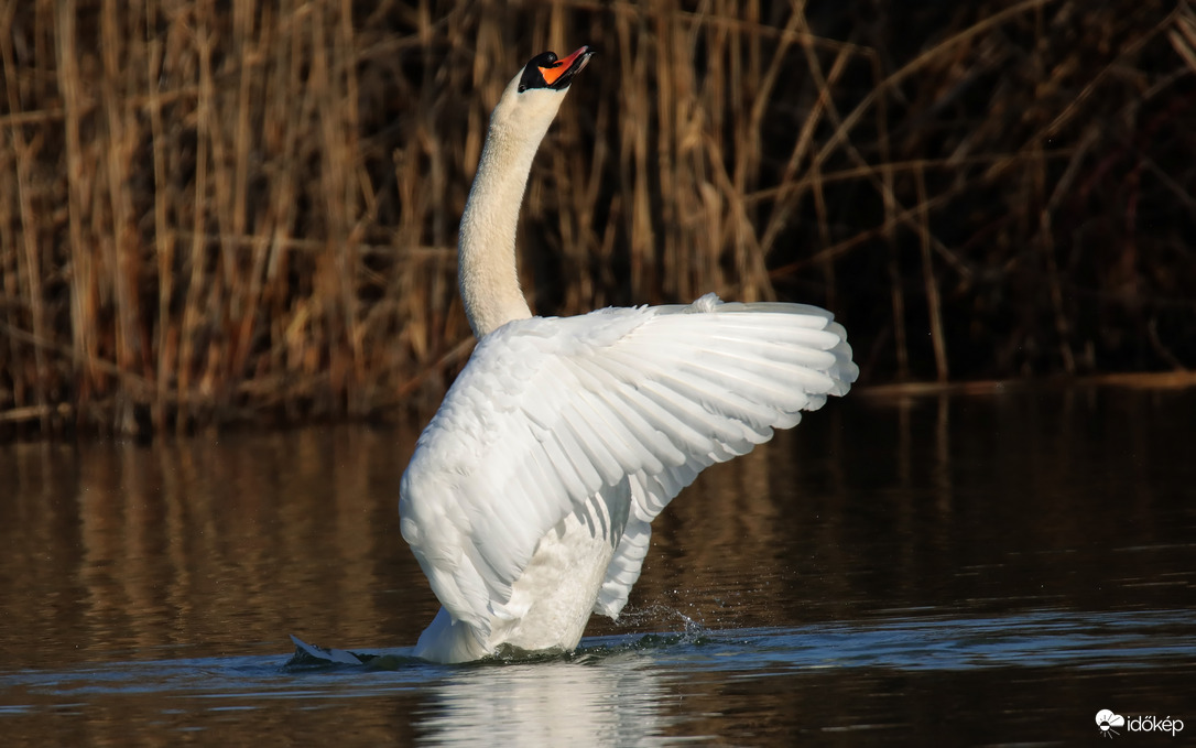 Egy nyújtózás pilanatai