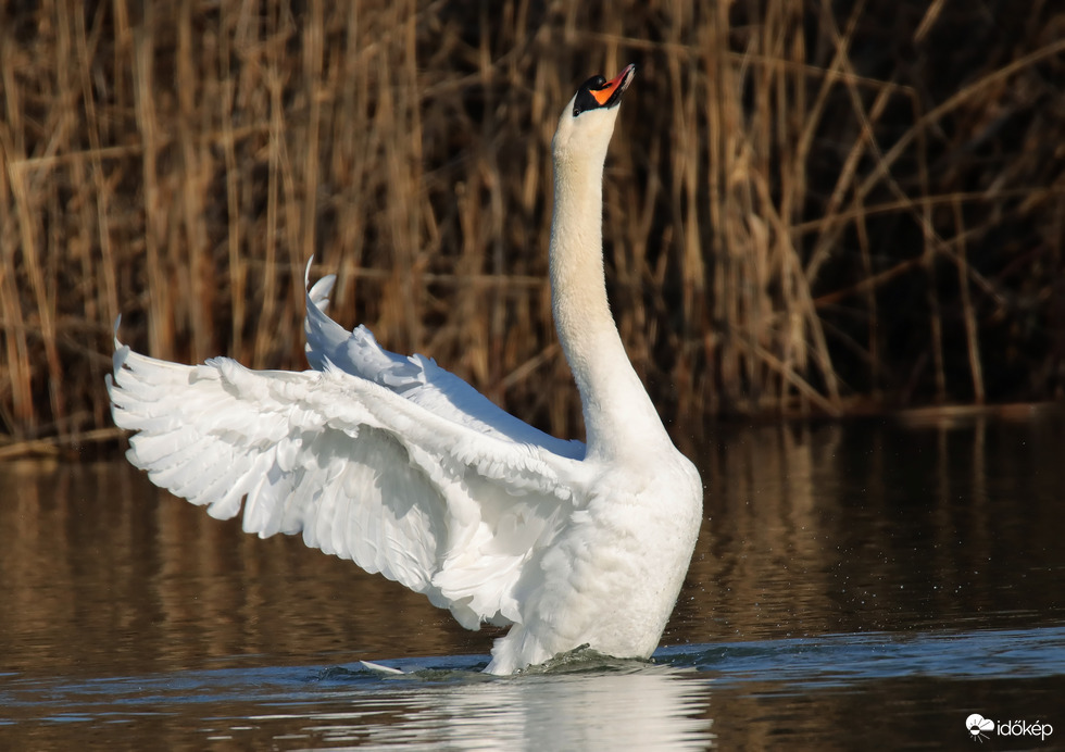 Egy nyújtózás pilanatai