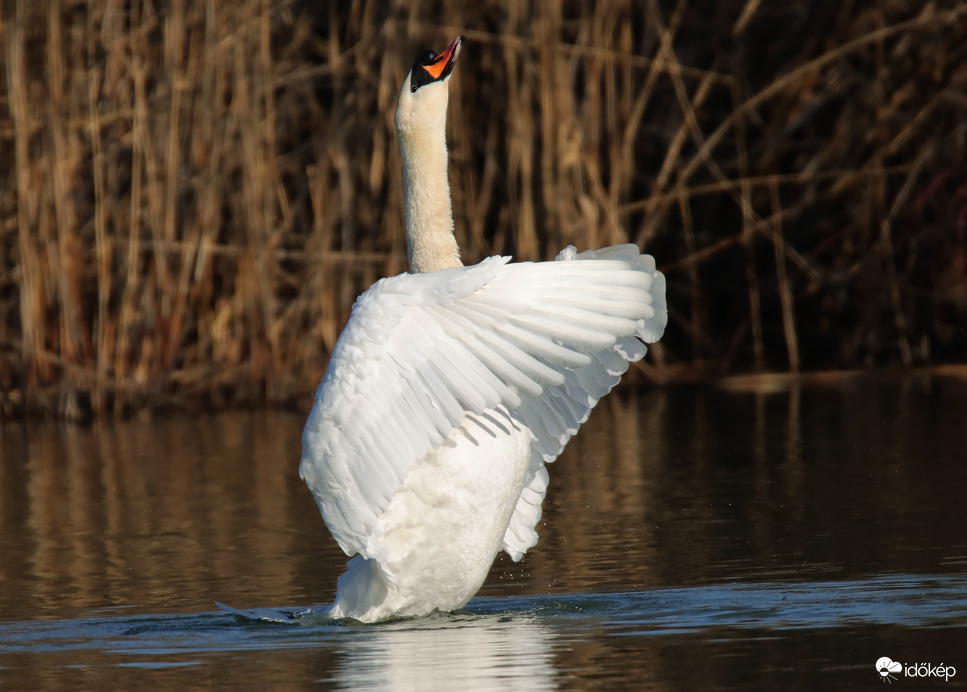 Egy nyújtózás pilanatai