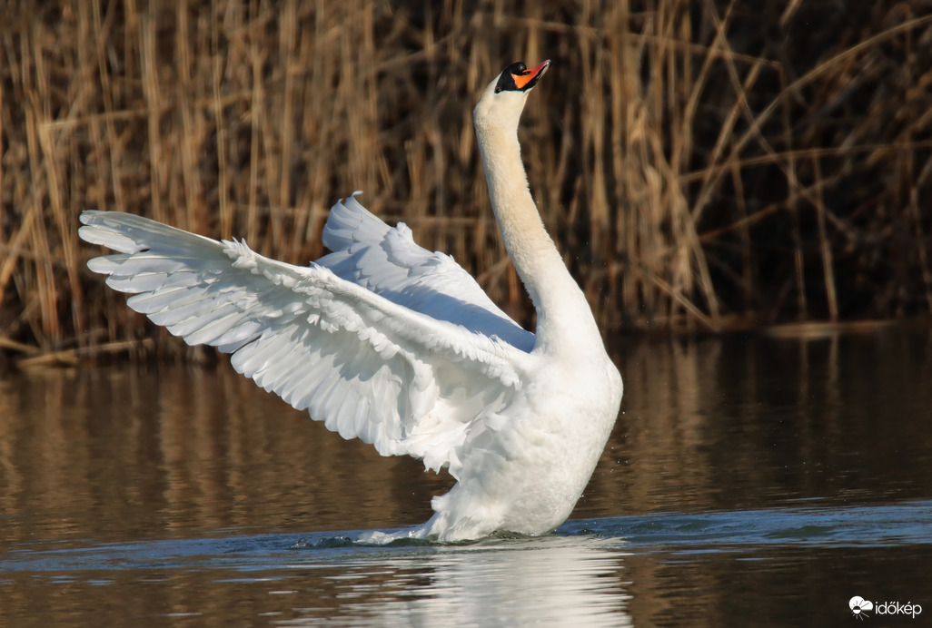 Egy nyújtózás pilanatai