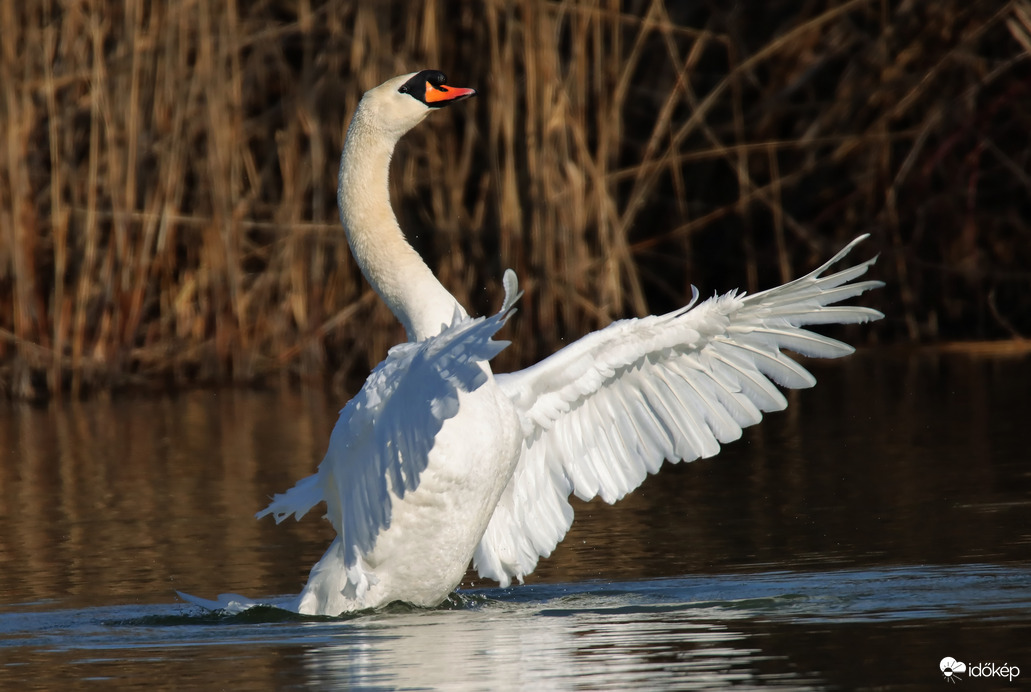Egy nyújtózás pilanatai