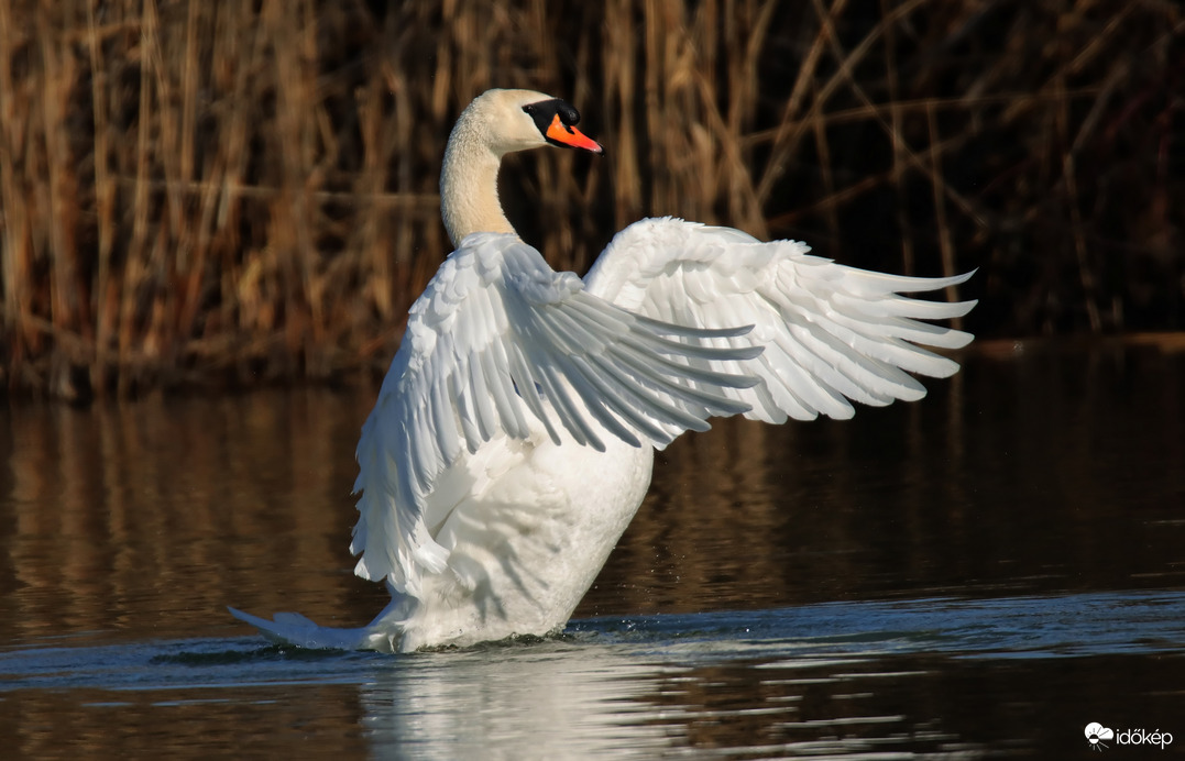 Egy nyújtózás pilanatai