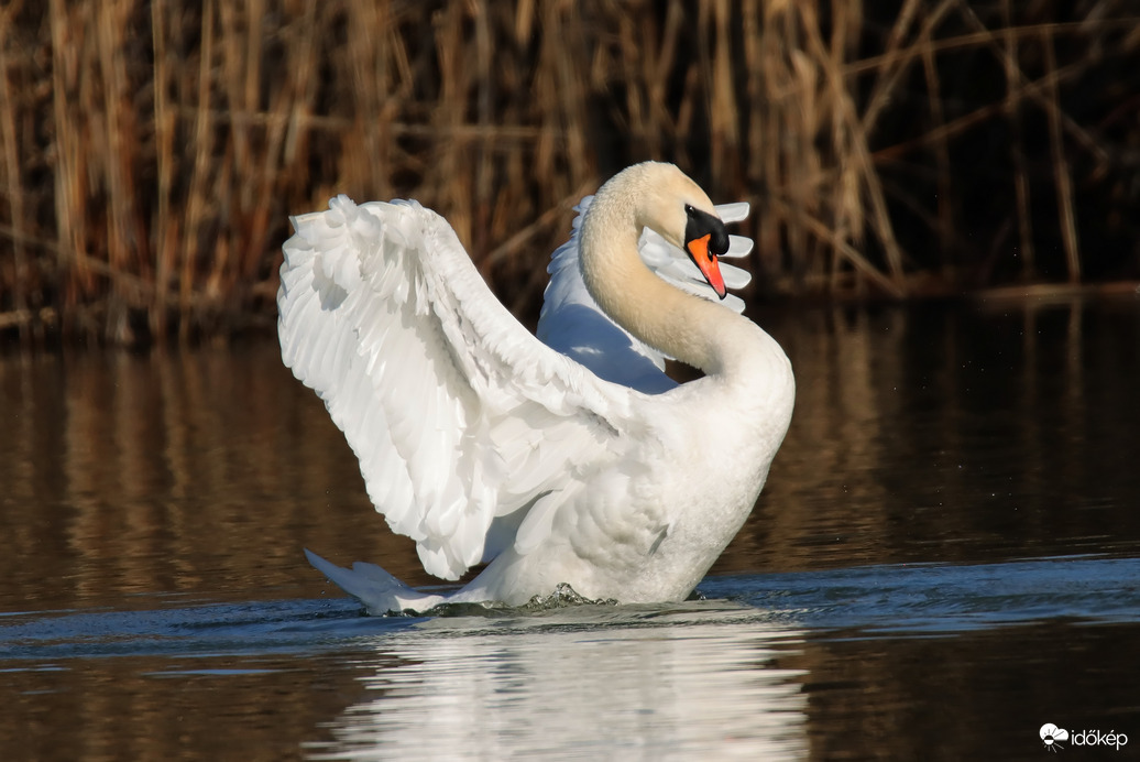 Egy nyújtózás pilanatai