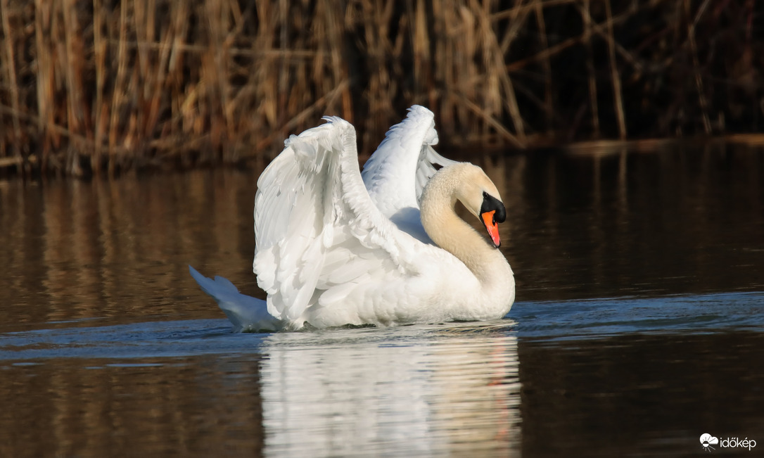 Egy nyújtózás pilanatai