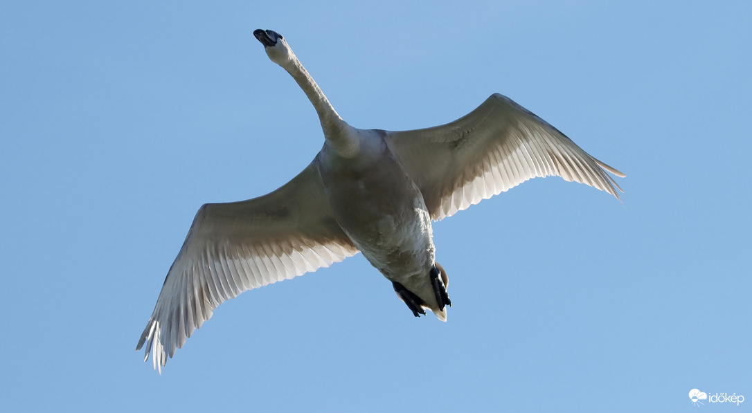 Suhanás alulról nézve