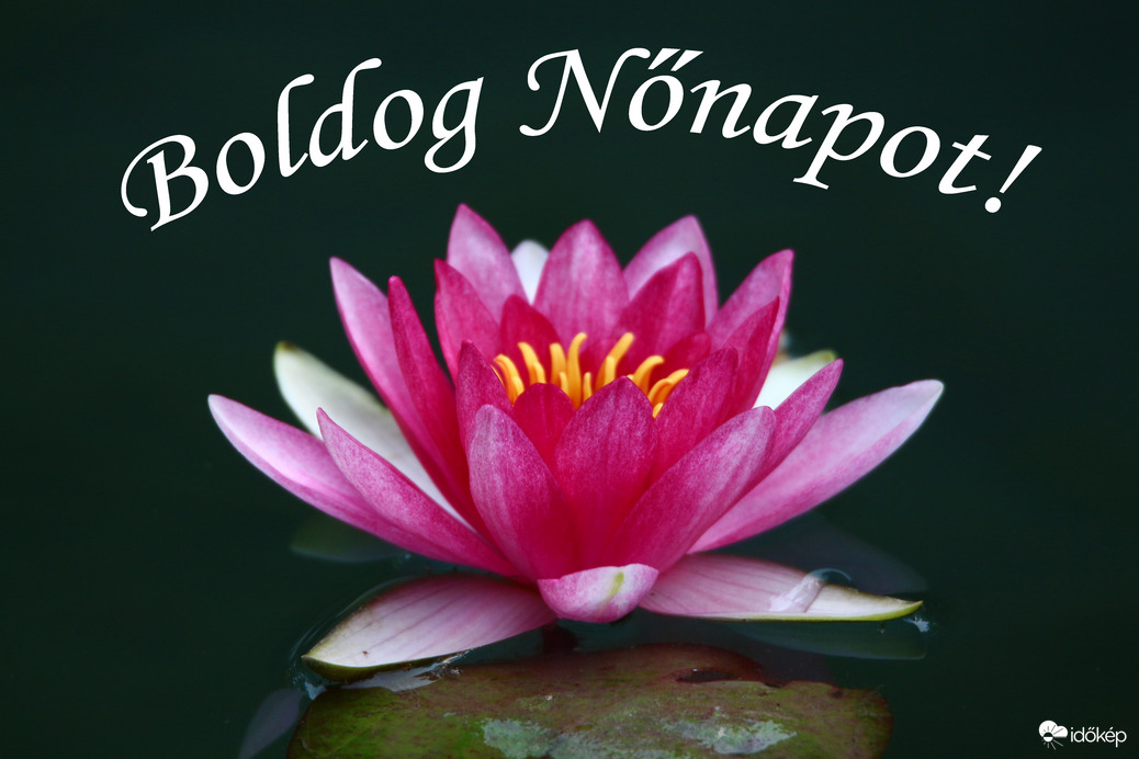 Boldog Nőnapot!