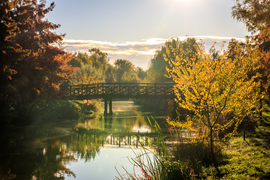 Reggel a Holt-Marosnál