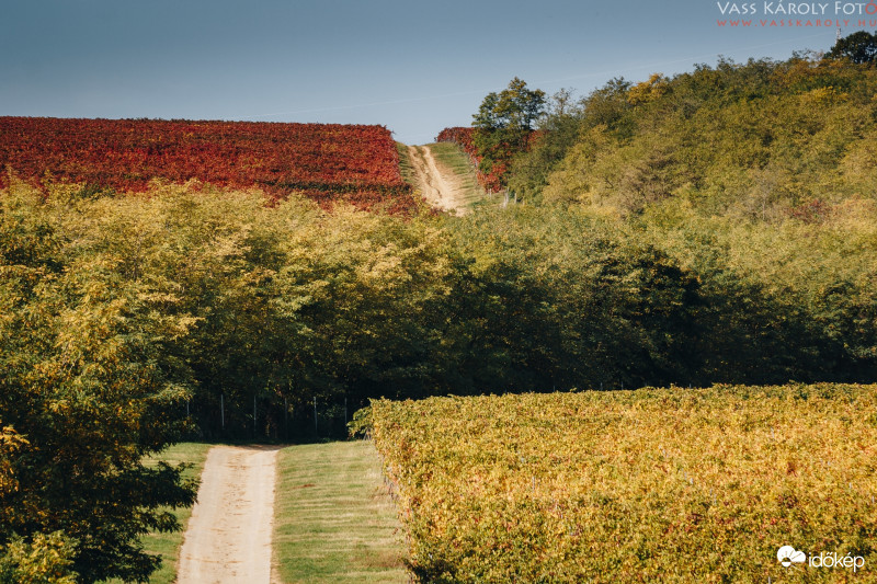 Út az őszbe