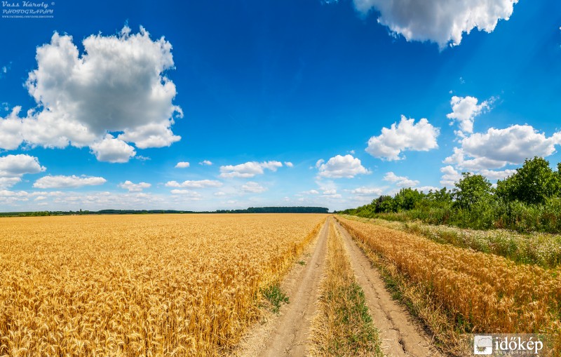 Ég a napmelegtől...