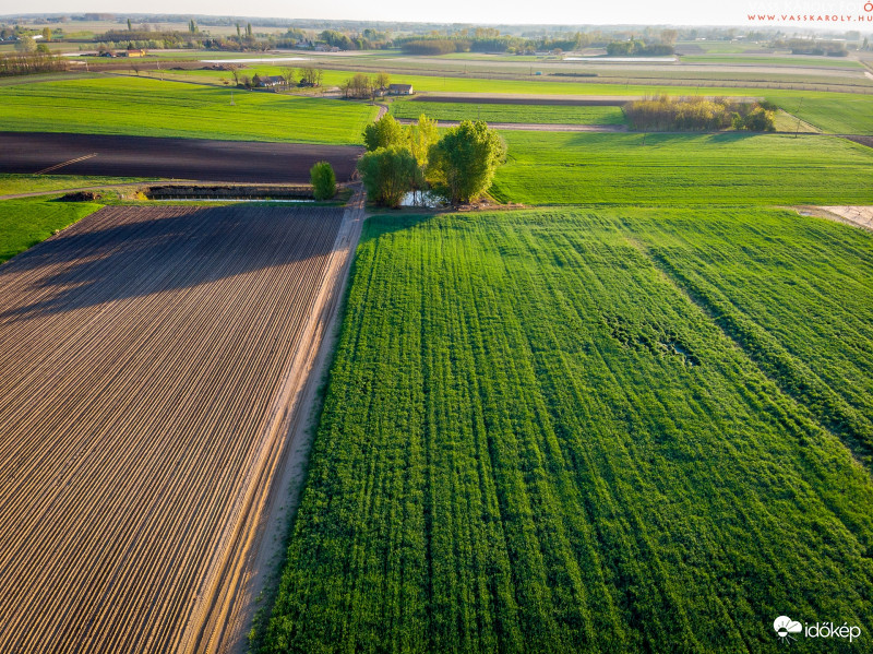 Ébred a tanyavilág