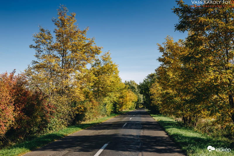 Októberi út III.