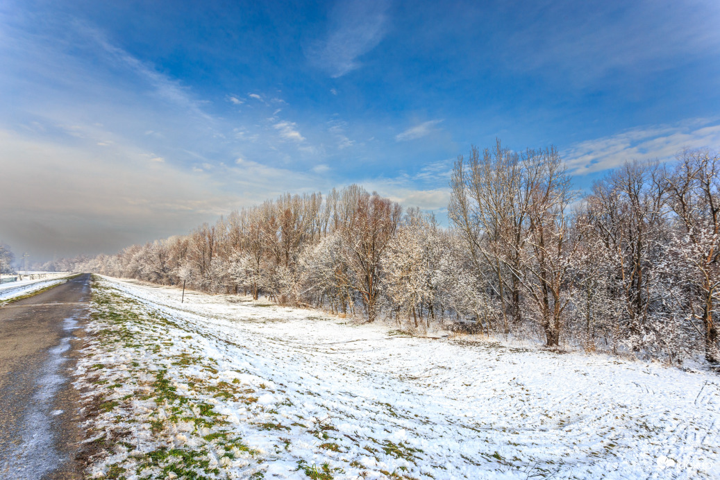 A Tisza töltésén